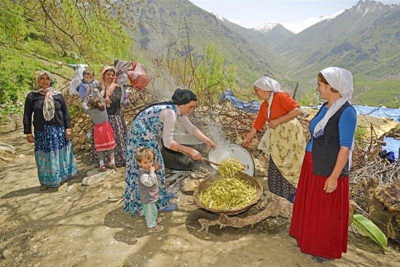 Van otlu peynirinin üretim süreci