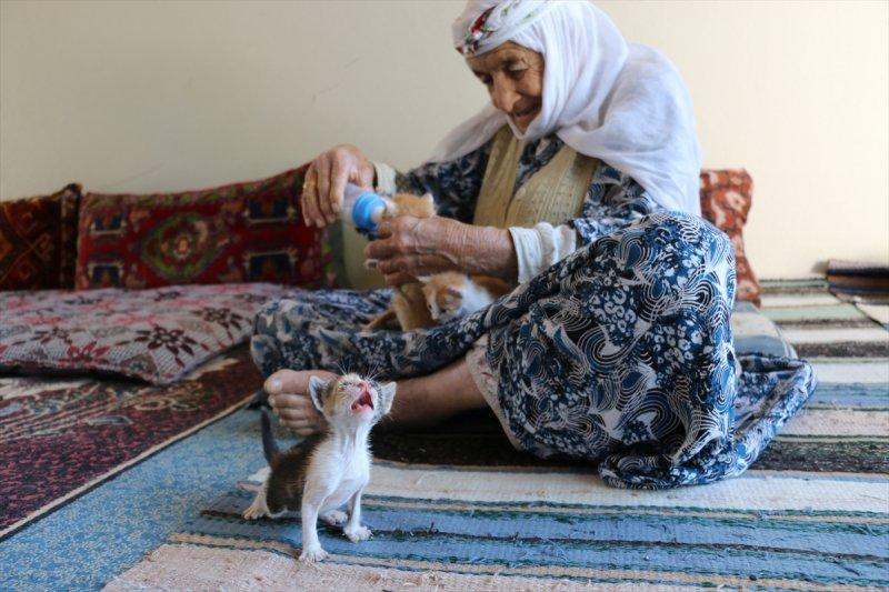 Anneleri ölen kediye 96 yaşındaki kadın sahip çıktı