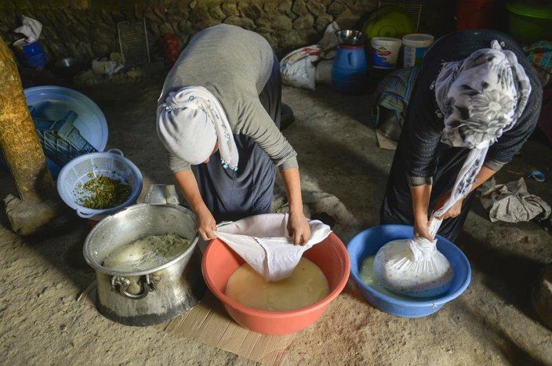 Van otlu peynirinin üretim süreci