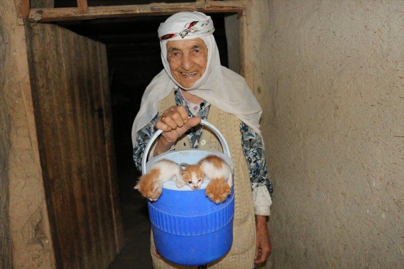 Anneleri ölen kediye 96 yaşındaki kadın sahip çıktı