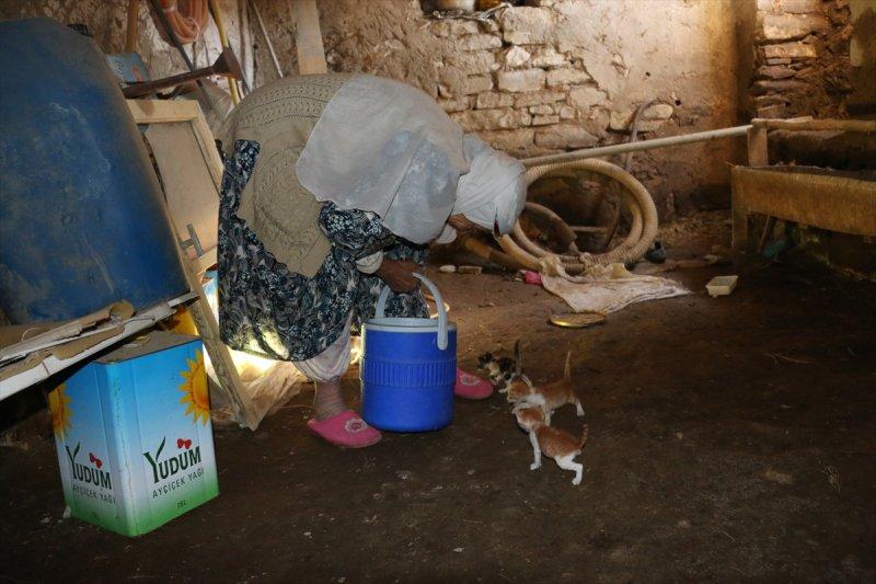 Anneleri ölen kediye 96 yaşındaki kadın sahip çıktı