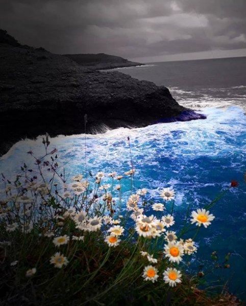 Türkiye'nin en kuzeyindeki saklı cennet: Hamsilos koyu