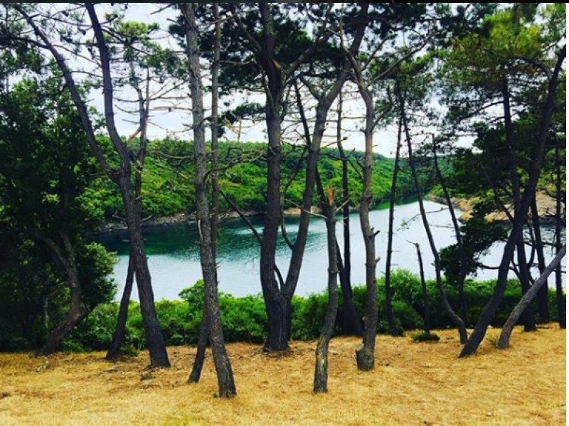 Türkiye'nin en kuzeyindeki saklı cennet: Hamsilos koyu