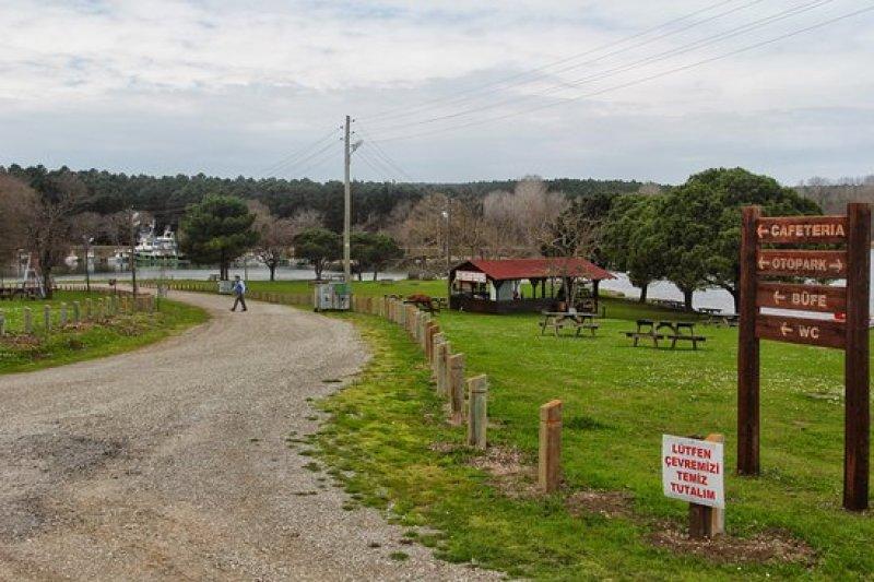 Türkiye'nin en kuzeyindeki saklı cennet: Hamsilos koyu