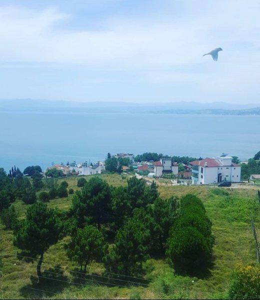 Türkiye'nin en kuzeyindeki saklı cennet: Hamsilos koyu