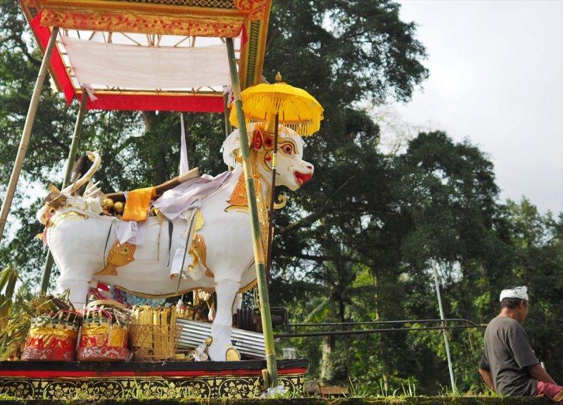Endonezya'da ölü yakma töreni