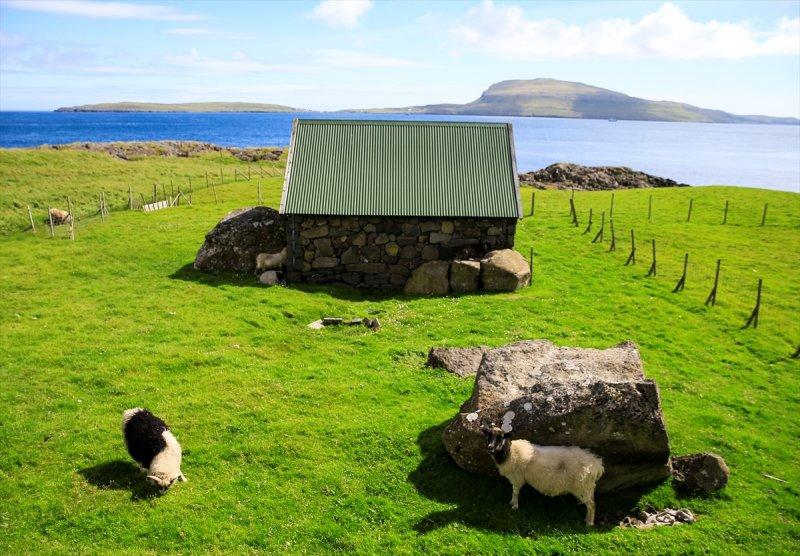 Yeşil ve mavinin buluştuğu yer: Faroe Adaları