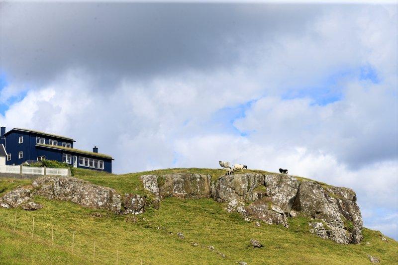 Yeşil ve mavinin buluştuğu yer: Faroe Adaları
