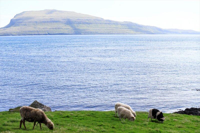 Yeşil ve mavinin buluştuğu yer: Faroe Adaları