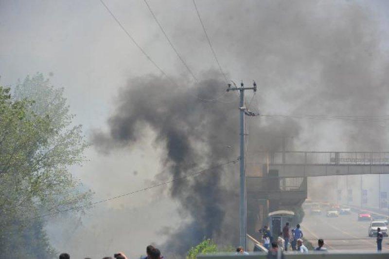 Bursa'da orman yangını