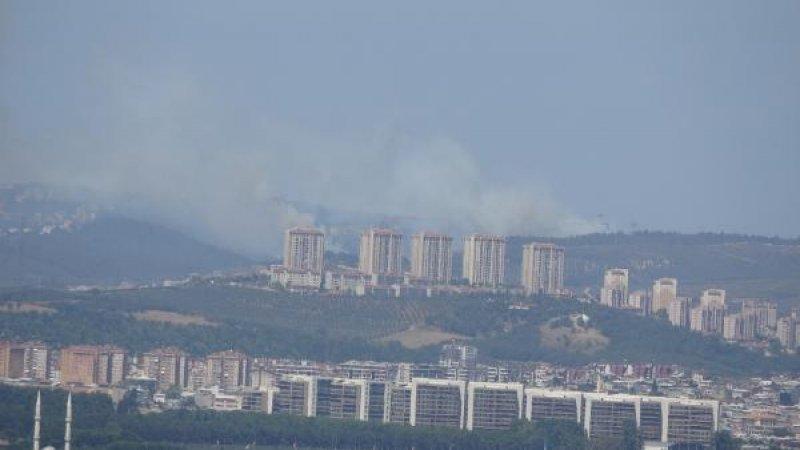 Bursa'da orman yangını