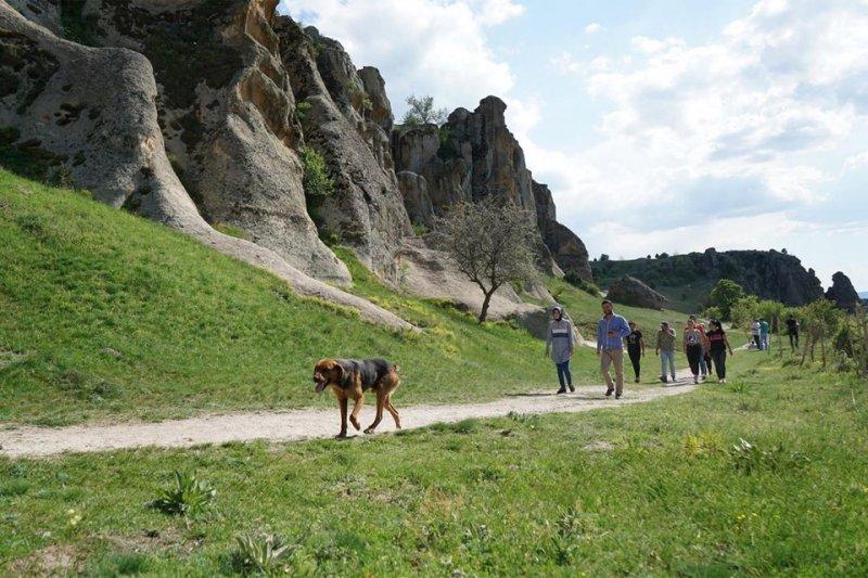 Türkiye'nin yeni turizm markası: Frigya Vadileri