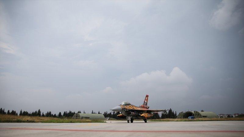 Türk Hava Kuvvetleri'nin Kaplan'ı: 192. Filo