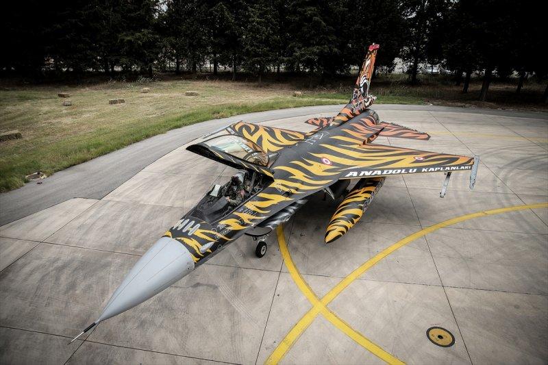 Türk Hava Kuvvetleri'nin Kaplan'ı: 192. Filo