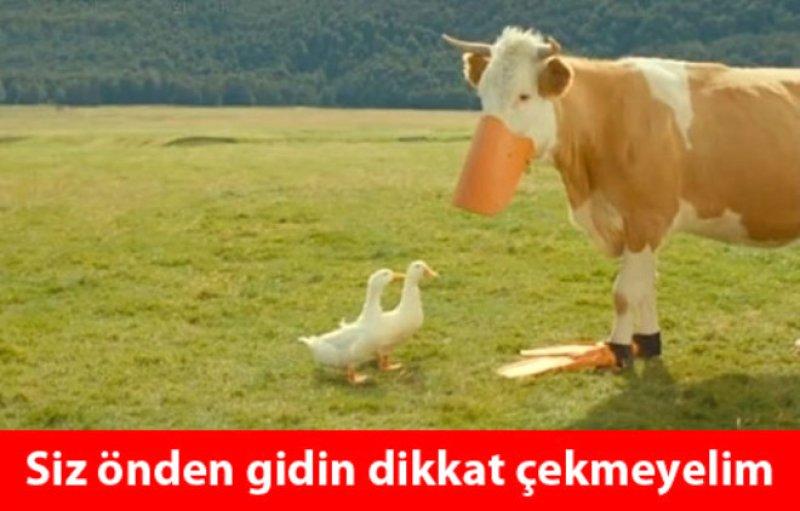 Kurban Bayramı ile ilgili yapılmış komik capsler