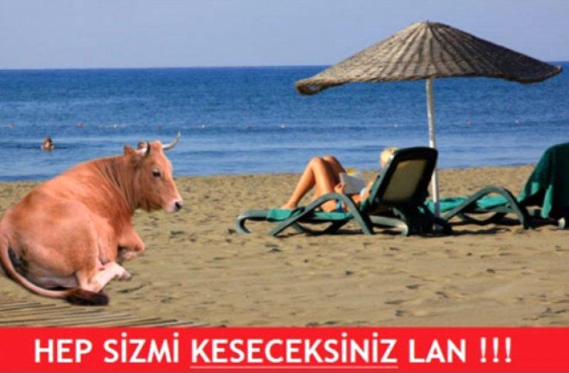 Kurban Bayramı ile ilgili yapılmış komik capsler