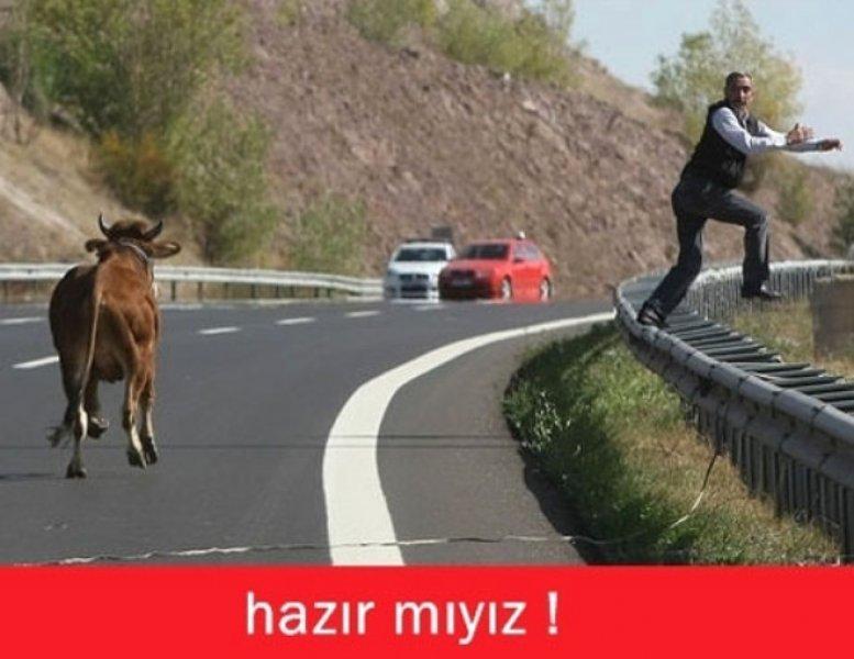 Kurban Bayramı ile ilgili yapılmış komik capsler