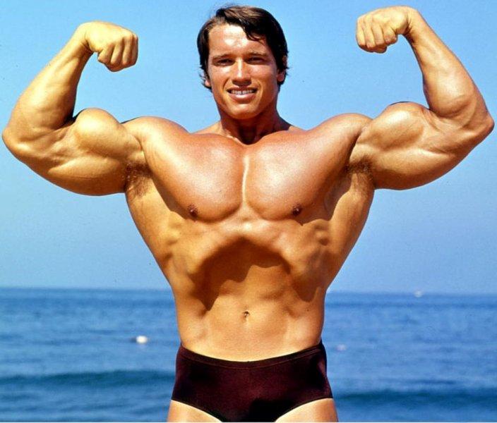 Arnold Schwarzenegger'in ahşap heykeli yapıldı 