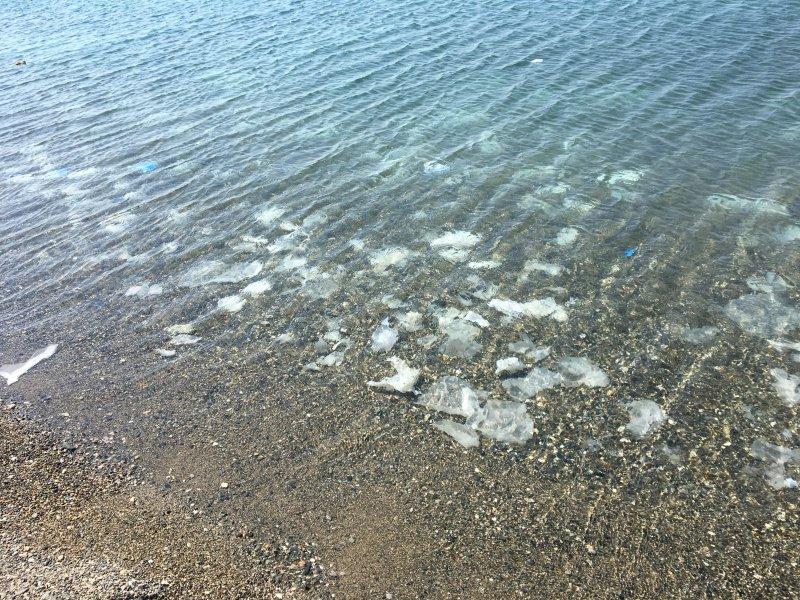 Zeytinli Rock Festivali'nin ardından kalan çöpler