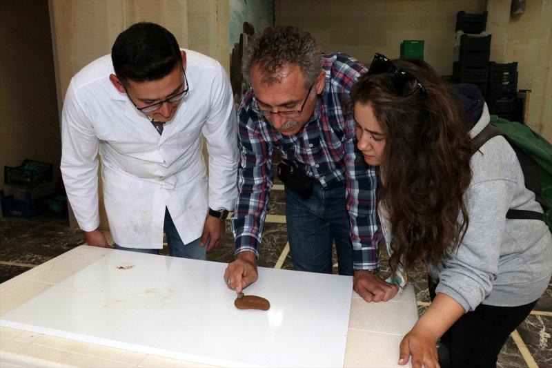 Elazığ'da 2 bin 700 yıllık taş mühür bulundu