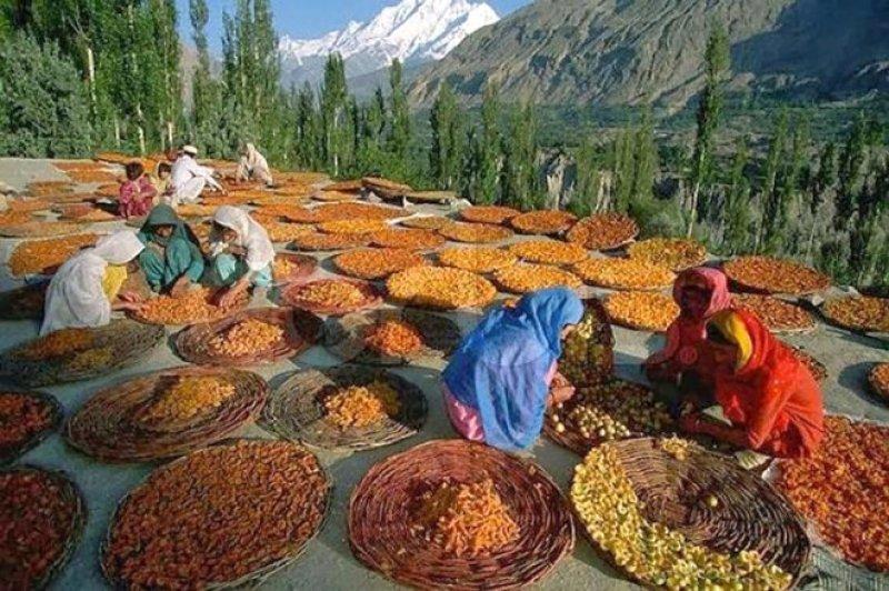  Hunza Türkleri'nin sağlıklı yaşam sırları 