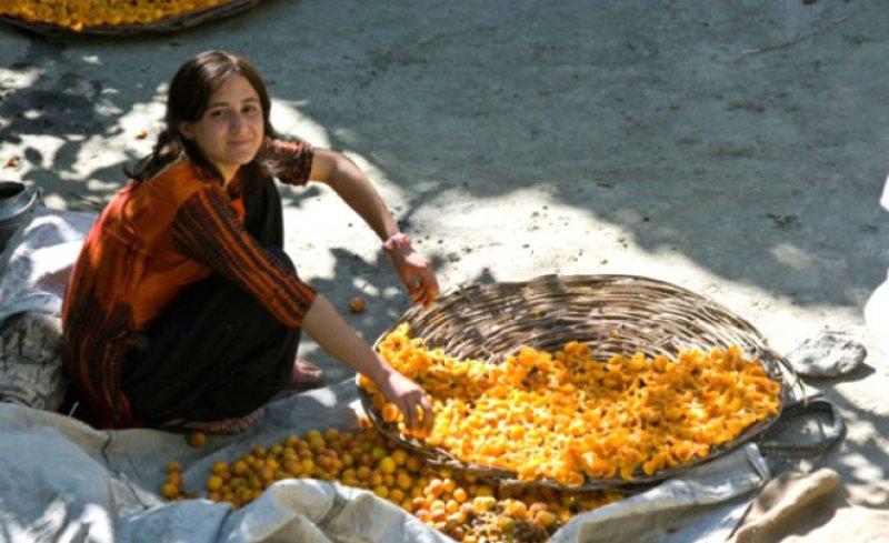  Hunza Türkleri'nin sağlıklı yaşam sırları 