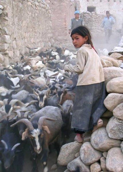  Hunza Türkleri'nin sağlıklı yaşam sırları 