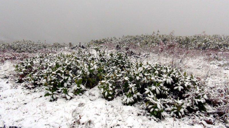 Rize yaylaları beyaza büründü