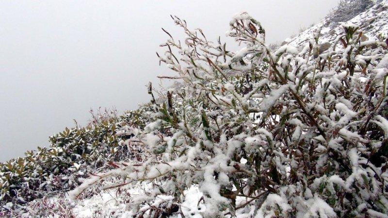 Rize yaylaları beyaza büründü