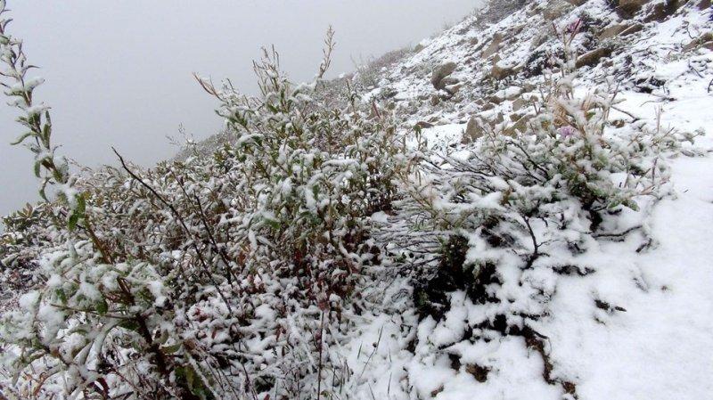 Rize yaylaları beyaza büründü