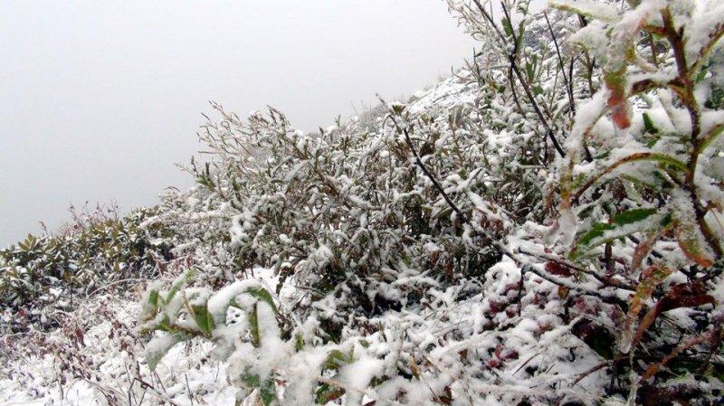 Rize yaylaları beyaza büründü