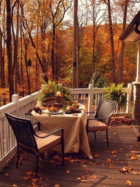 Birbirinden güzel sonbahar fotoğrafları