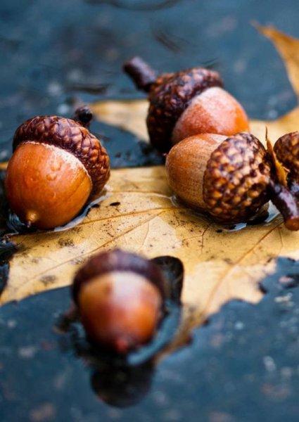 Birbirinden güzel sonbahar fotoğrafları