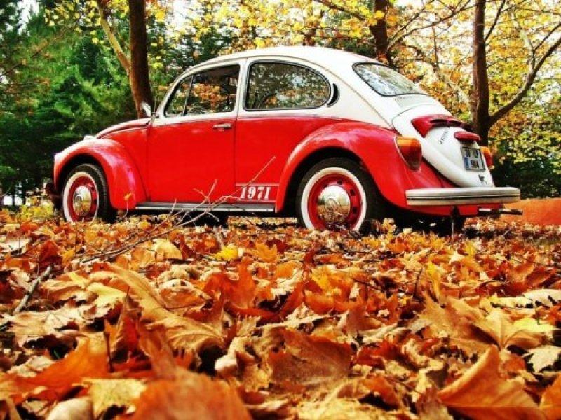 Birbirinden güzel sonbahar fotoğrafları