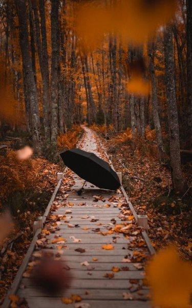 Birbirinden güzel sonbahar fotoğrafları