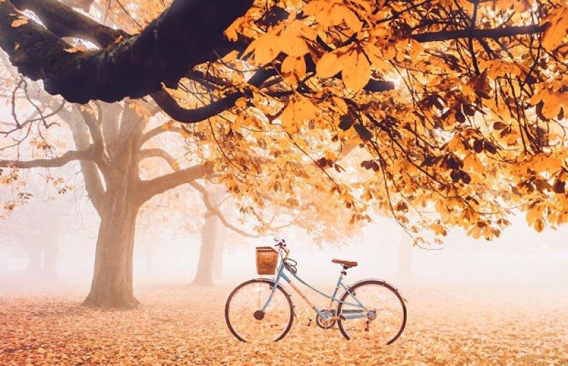 Birbirinden güzel sonbahar fotoğrafları