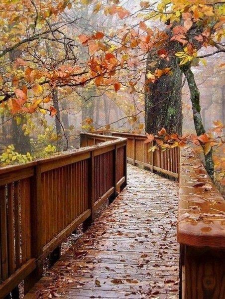 Birbirinden güzel sonbahar fotoğrafları