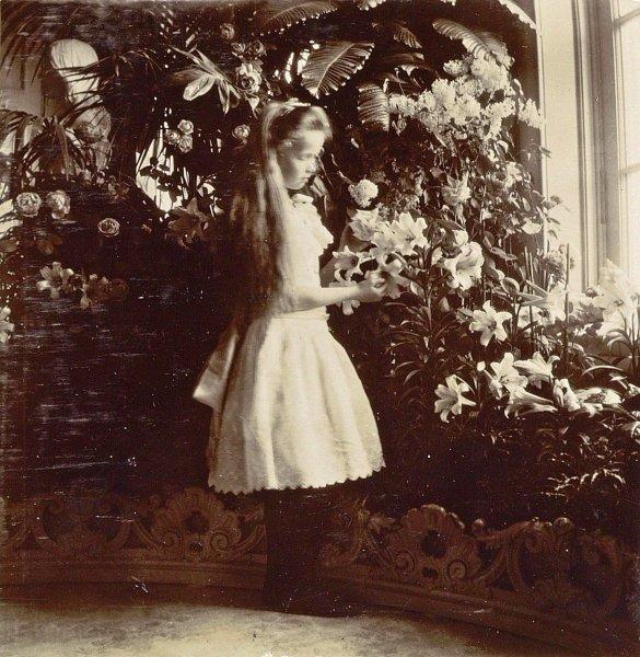 Rusya'nın son kraliyet ailesi