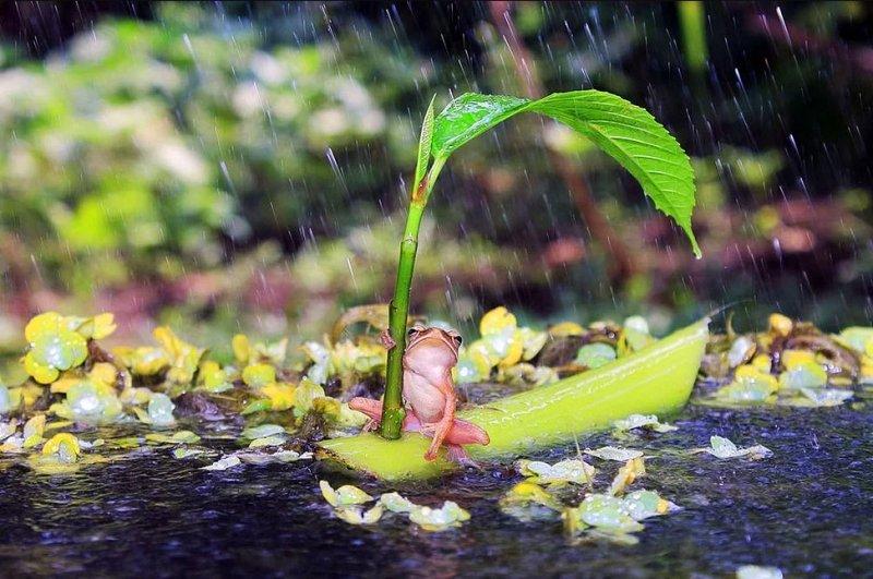 Vahşi yaşamdan muhteşem kareler 