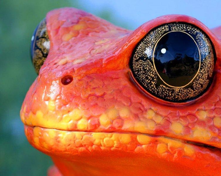 Vahşi yaşamdan muhteşem kareler 