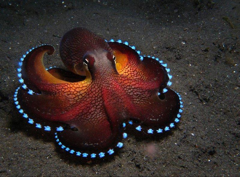 Vahşi yaşamdan muhteşem kareler 