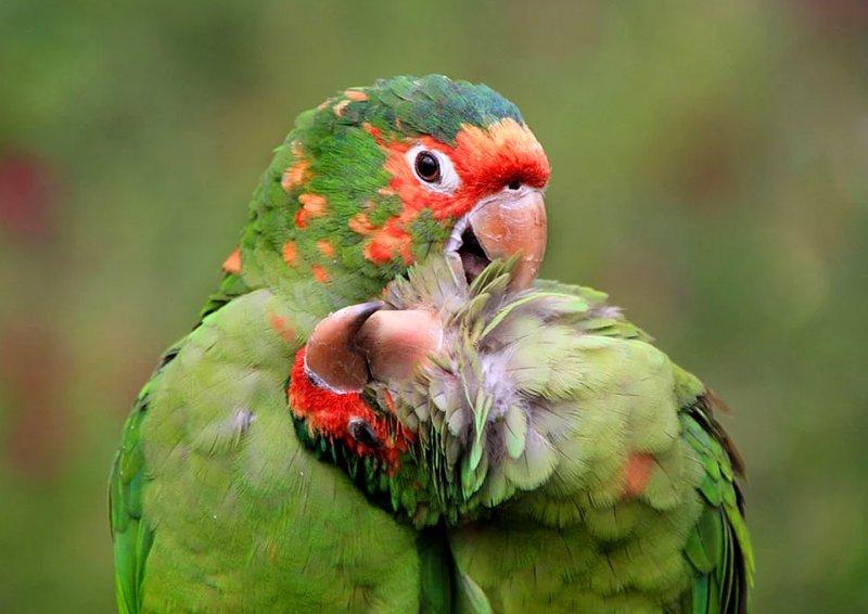 Vahşi yaşamdan muhteşem kareler 