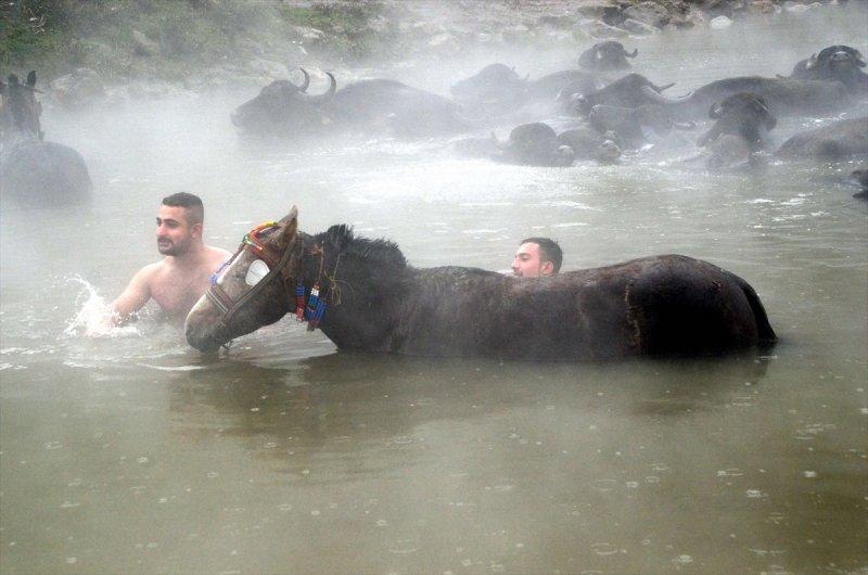 Bitlis Güroymak'ta doğa harikası kaplıca