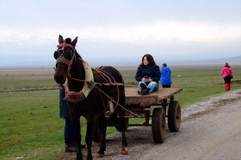 Bitlis Güroymak'ta doğa harikası kaplıca