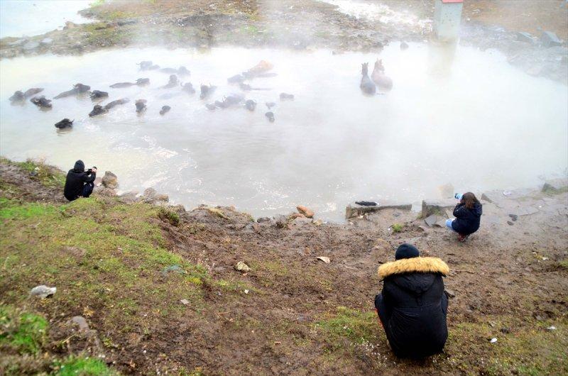 Bitlis Güroymak'ta doğa harikası kaplıca