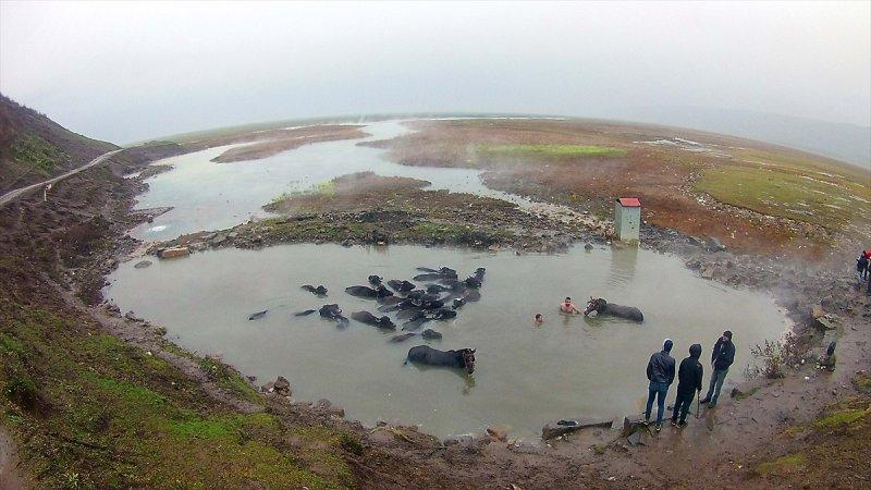 Bitlis Güroymak'ta doğa harikası kaplıca