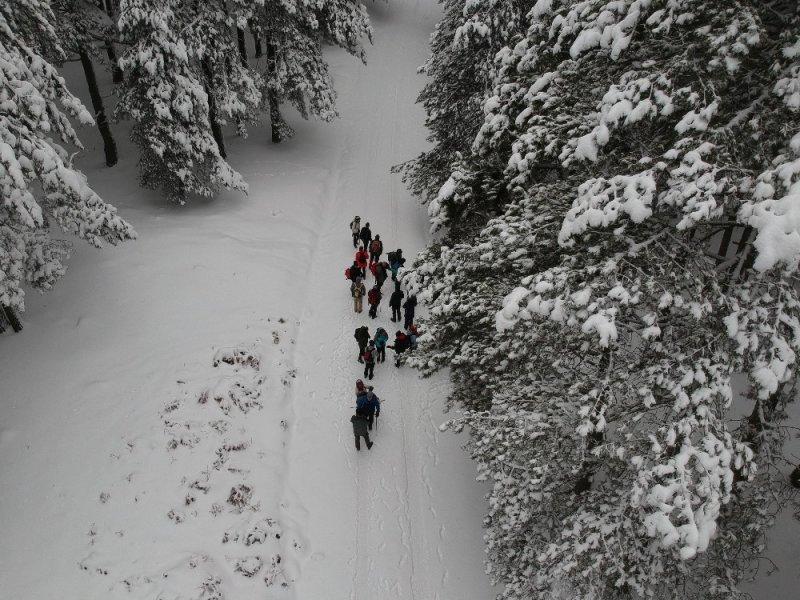 Kar Kaz Dağları'nda masalsı manzaralar oluşturuyor
