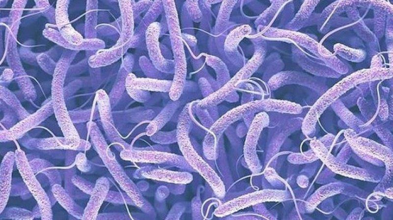 Milyonlarca insanın ölümüne sebep olan salgın hastalıklar