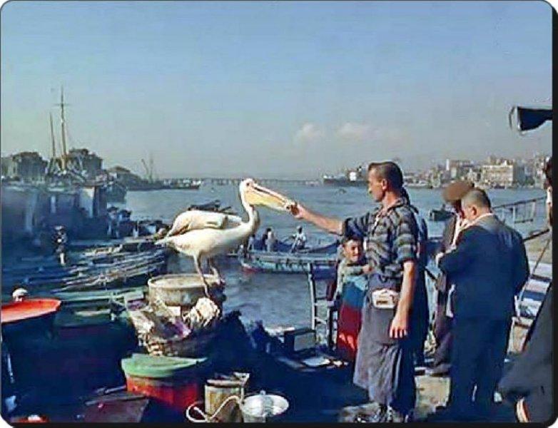 İstanbul’un balık ekmek arası: Bir zamanlar Eminönü