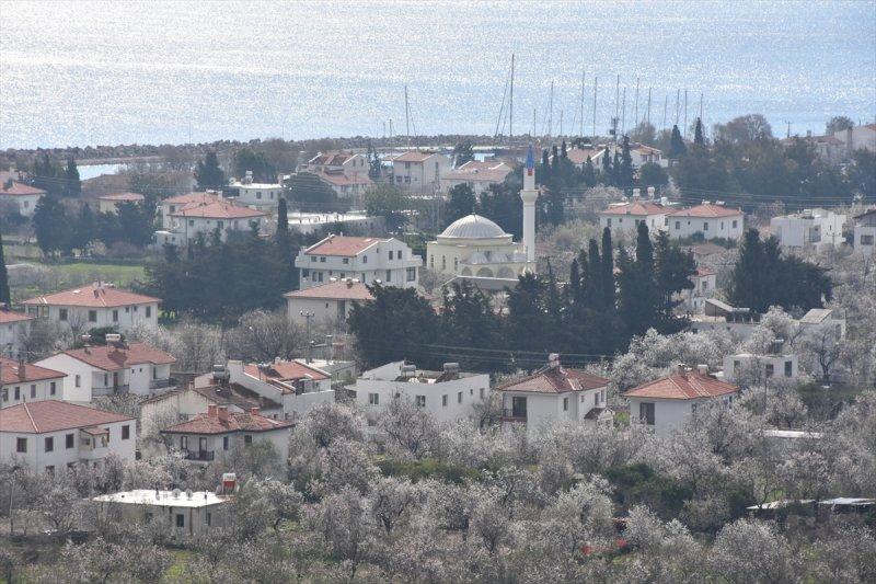 Badem Çiçeği Festivali'ne yerli turist akını